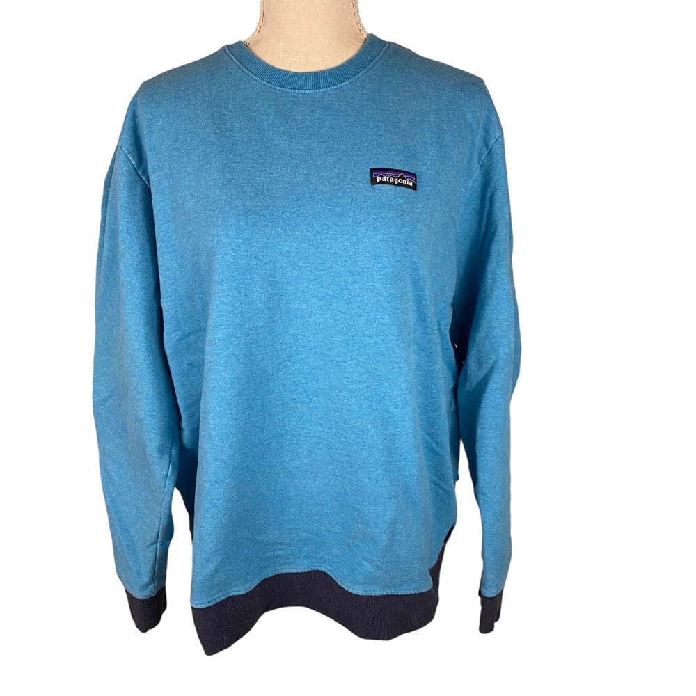 Patagonia colorblock crew neck sweatshirt